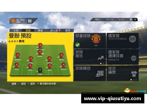 全方位解析：职业足球球员的生涯轨迹与成就探究