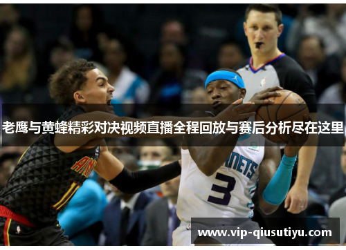 老鹰与黄蜂精彩对决视频直播全程回放与赛后分析尽在这里