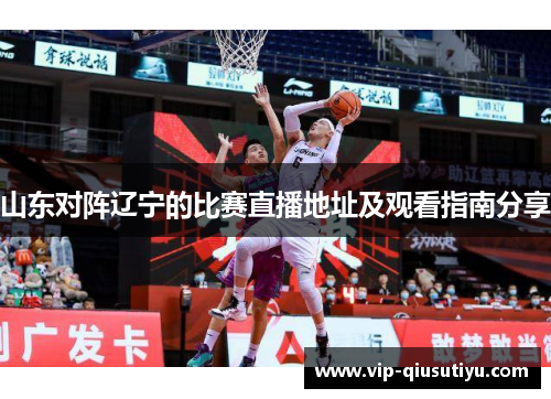 山东对阵辽宁的比赛直播地址及观看指南分享
